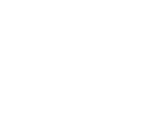 pressio Logo